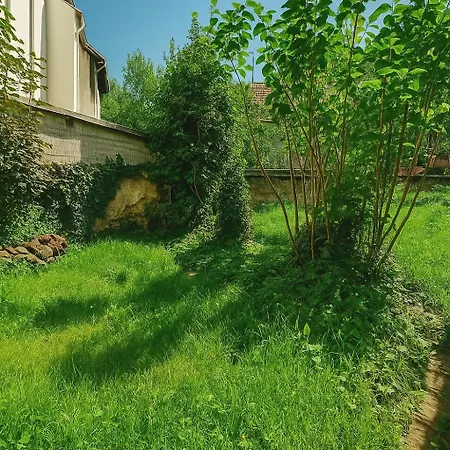 Le Nid Cozy à 2 Pas De La Gare St-dié - Wifi - Calme *