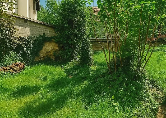 Le Nid Cozy A 2 Pas De La Gare St-die - Wifi - Calme *